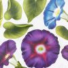 Wall Flowers - Large Wall Decals Stickers Appliques Home Decor