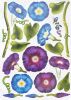Wall Flowers - Large Wall Decals Stickers Appliques Home Decor