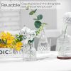 Glass Bud Vases Set of 12, Small Vases for Centerpieces, Vintage Mini Vases for Wedding Decor, Clear Glass Bud Vase in Bulk