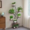 Plant Stand Indoor with Grow Lights, 62 in Tall 8-Tier Lighted Plant Shelf, Metal Corner Plants Holder, 3 Timer & 10 Brightness