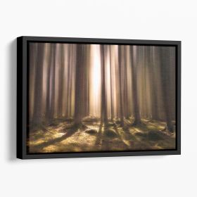 Breath Of Life Floating Framed Canvas (Color: Black, size: 40" x 26" / 100cm x 65cm (approx))