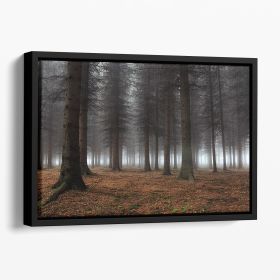 Place Of Silence Floating Framed Canvas (Color: Black, size: 40" x 26" / 100cm x 65cm (approx))
