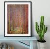 Tannenwald I by Klimt Framed Print