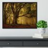 Old Tree Framed Print