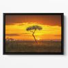 Primordial Africa Floating Framed Canvas