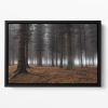 Place Of Silence Floating Framed Canvas